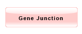 Gene Junction.